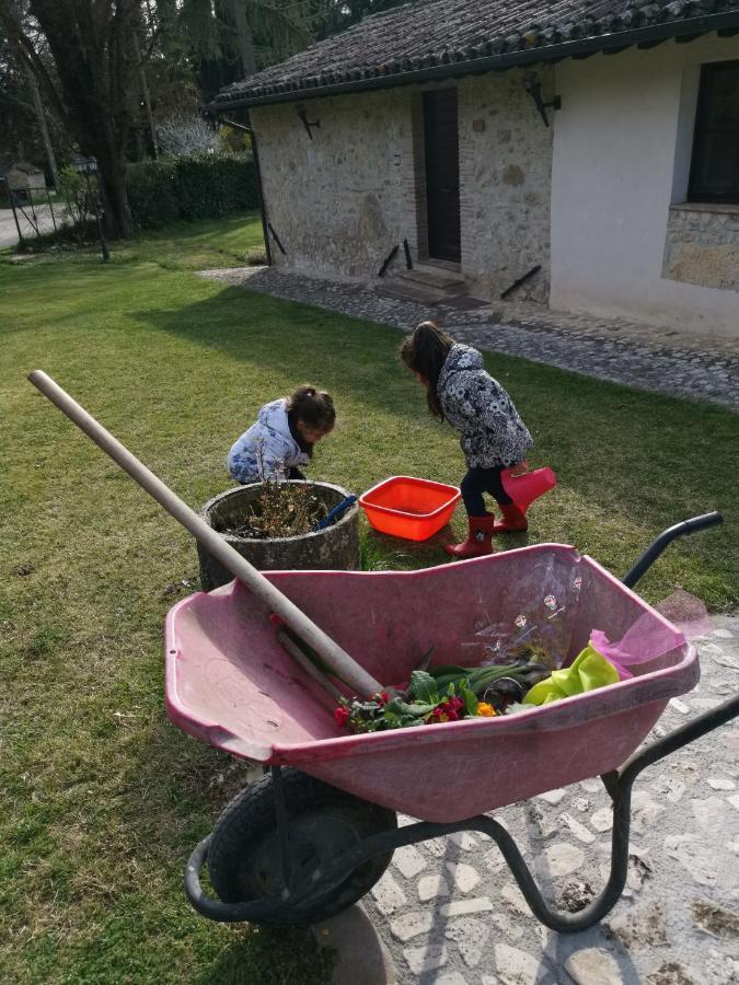 Pensjonat Il Vignale Massa Martana Zewnętrze zdjęcie